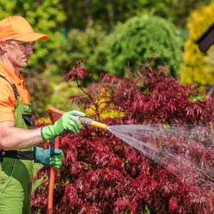 Arrosage-des-plantes (Aménagement paysager Laval) - Entrepeneur général Laval