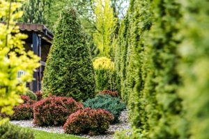 Jardin amenagement paysager à Laval - Entrepreneur Général Laval