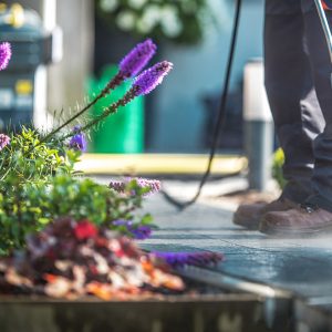 Jardin avec asphalte ( Aménagement paysager Laval ) - Entrepreneur général