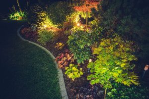 Jardin avec asphalte vu de haut ( Aménagement paysager Laval ) - Entrepreneur général.jpg