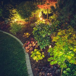 Jardin avec asphalte vu de haut ( Aménagement paysager Laval ) - Entrepreneur général.jpg